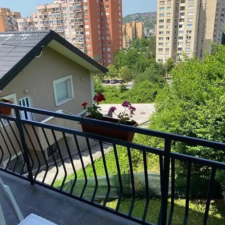 Cherry Sarajevo